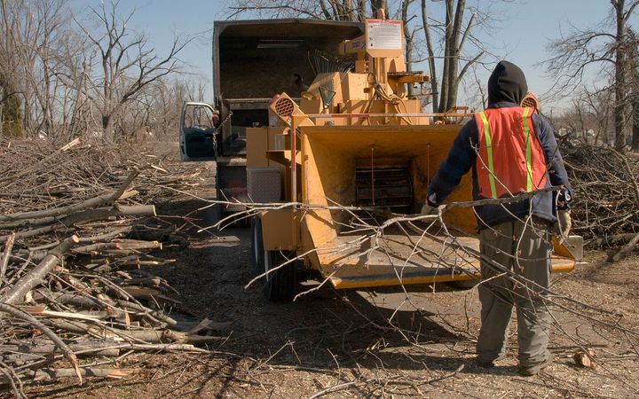Worker in a safety vest feeding branches into a wood chipper beside a brush pile