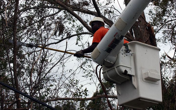 Worker in a bucket truck cutting branches with a pole saw